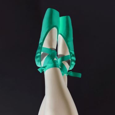 Elsa Ballet Shoes